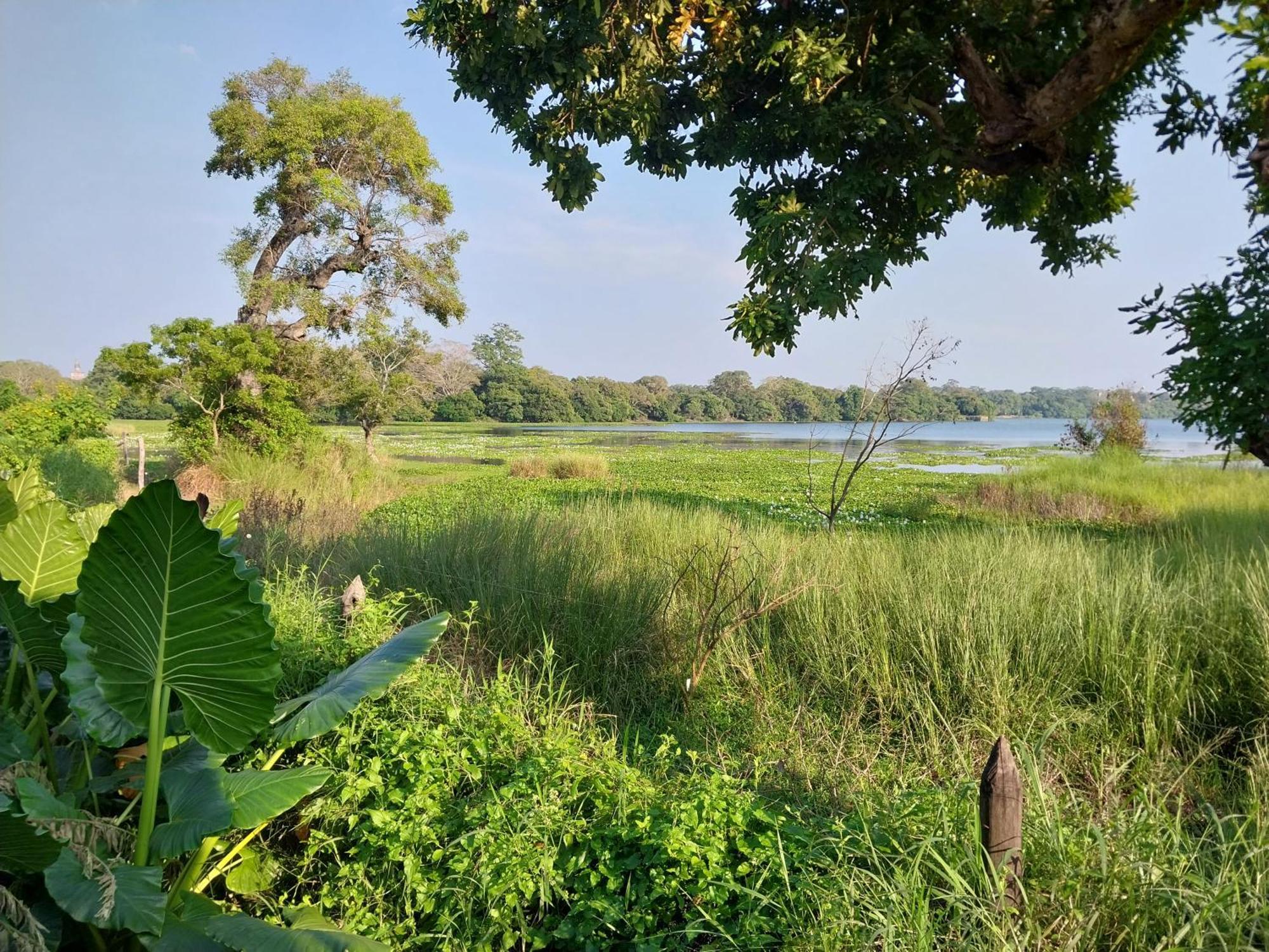 Lake Cabin Polonnaruwa Exterior foto