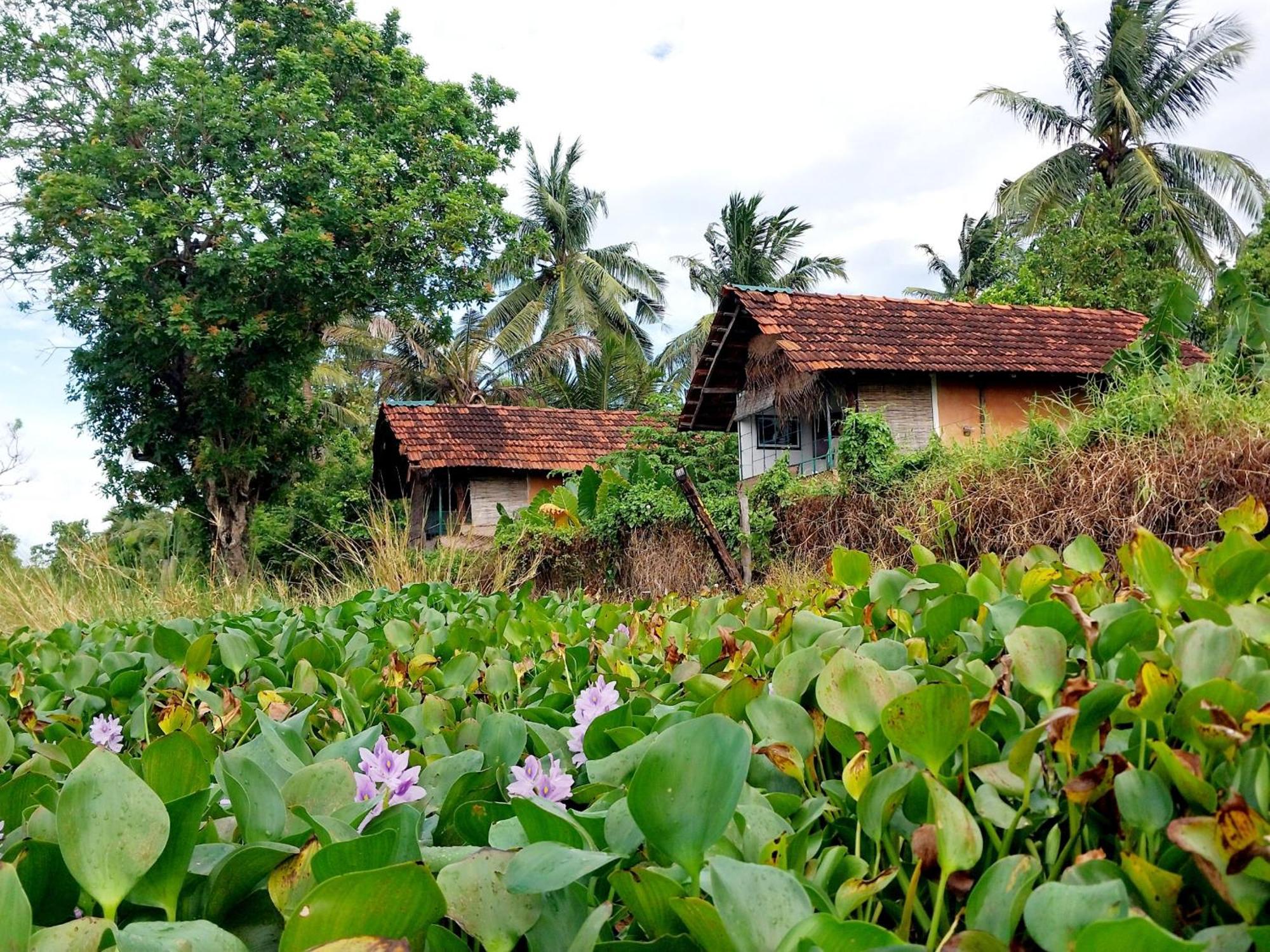 Lake Cabin Polonnaruwa Exterior foto